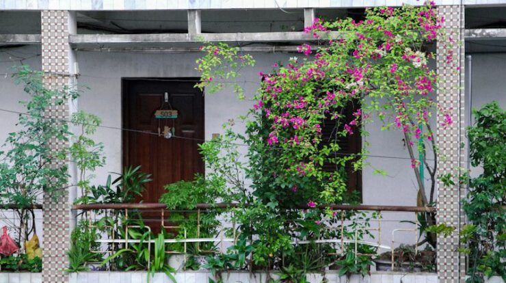 pink flowers on white wall